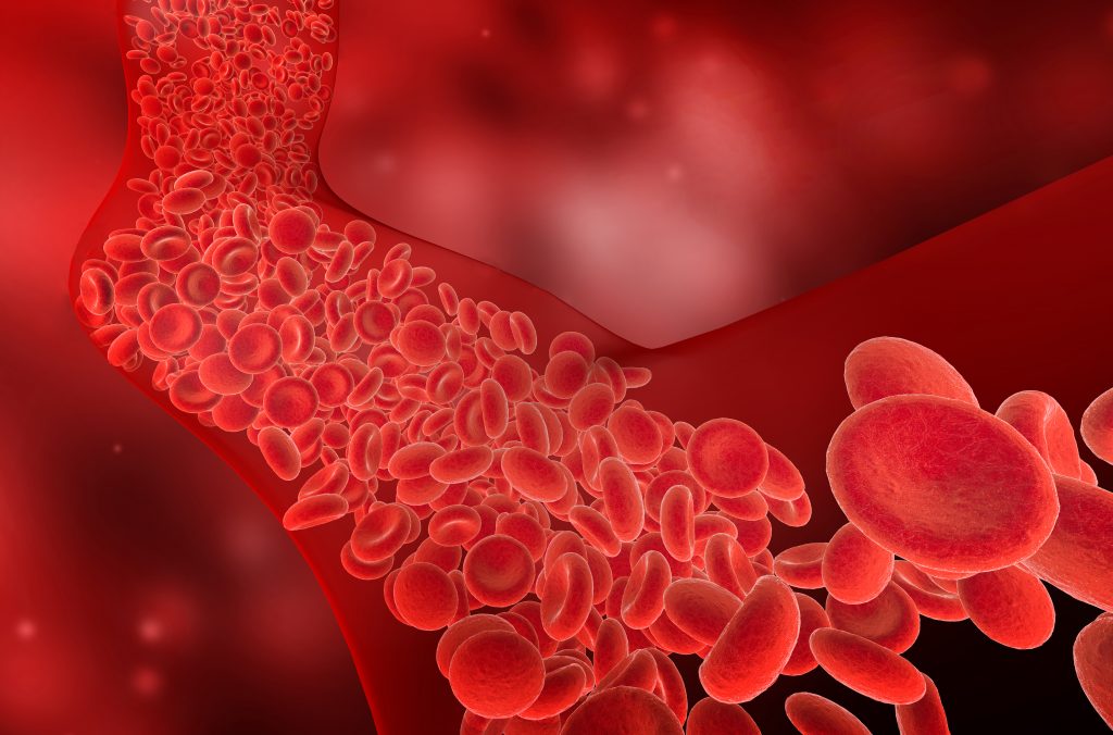 Sensual Male Massage to Enhance Men's Health. 3D Image of red blood cells circulating through blood vessels.