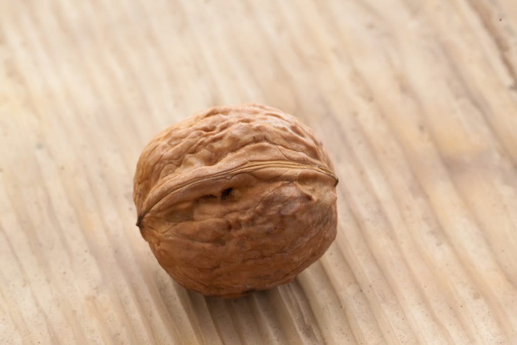 Single walnut on old wooden background. Close up. Representation of the male G-spot: getting a prostate massage.